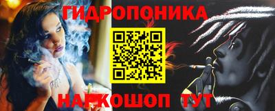 Альфа ПВП Моздок